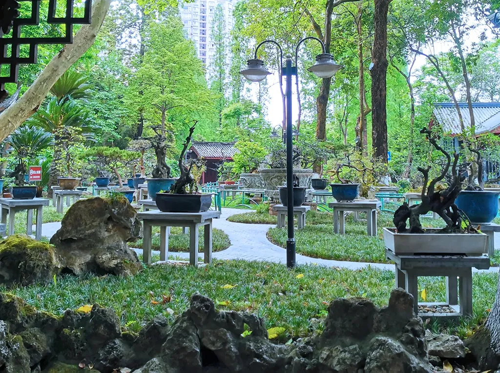 chengdu people park