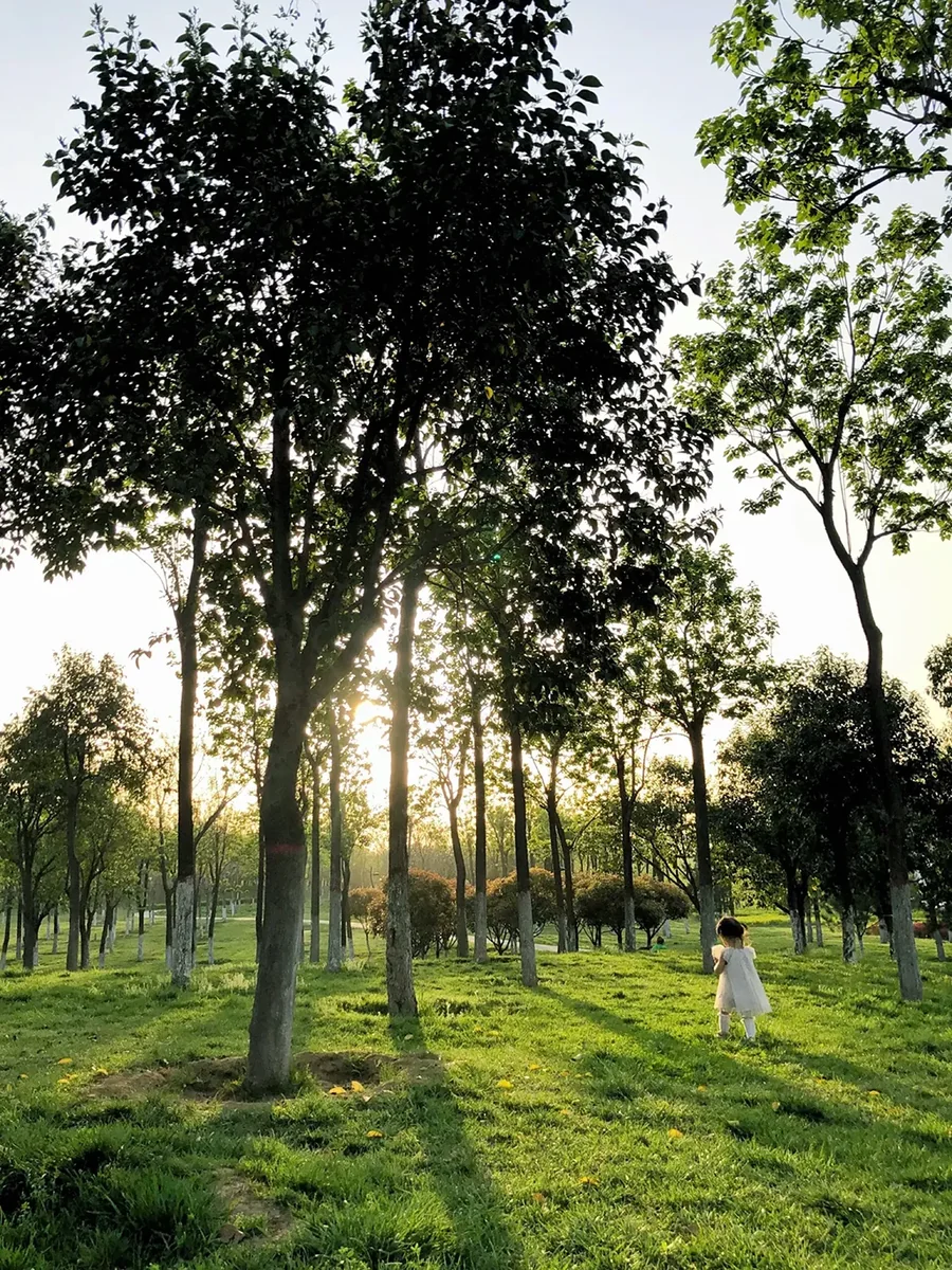 Xiao River Ecological Park