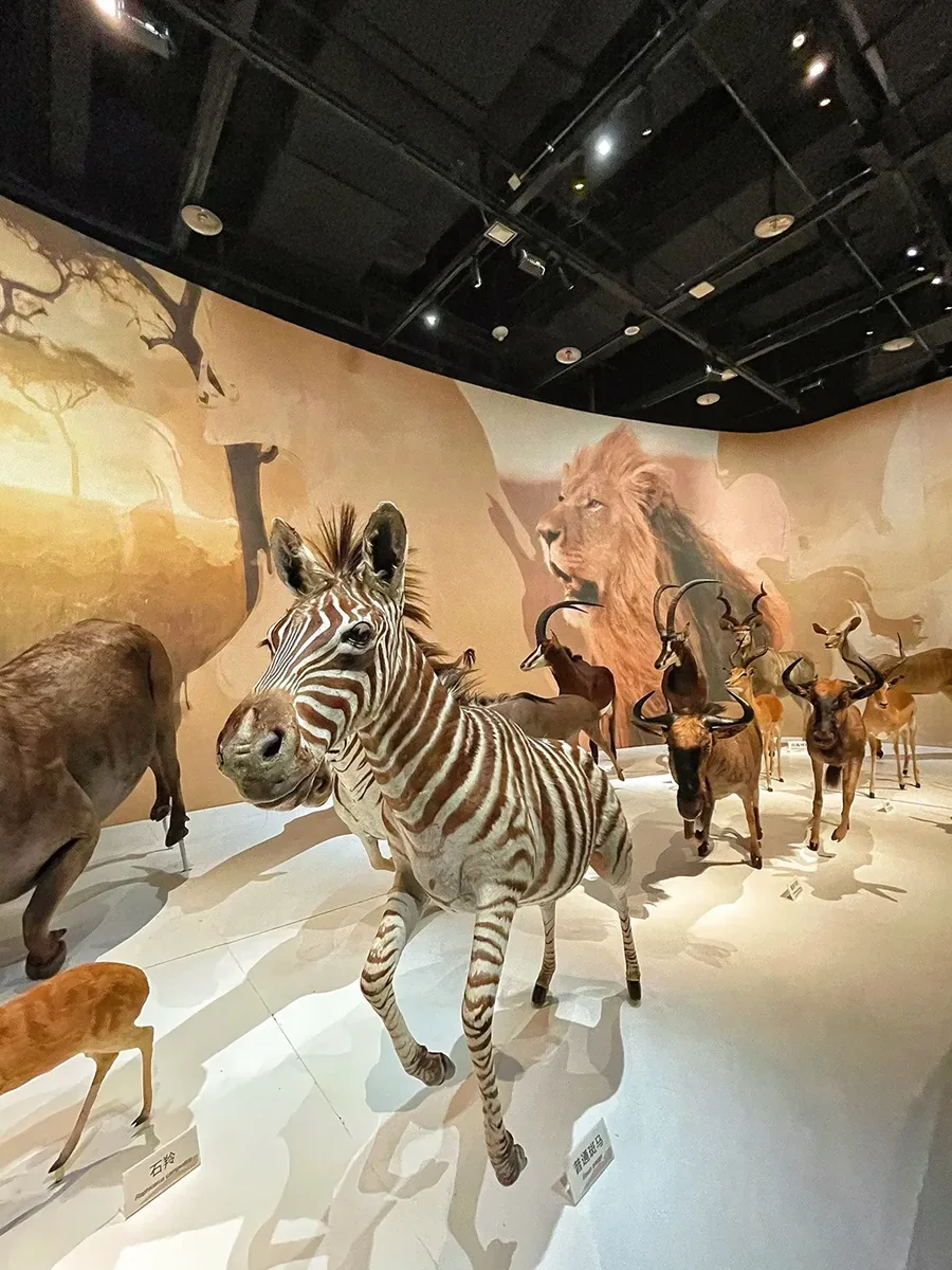 Chengdu Museum