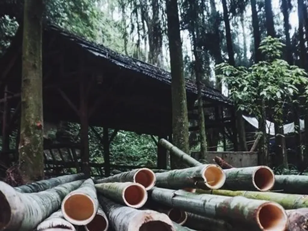 Qingcheng-Mountain