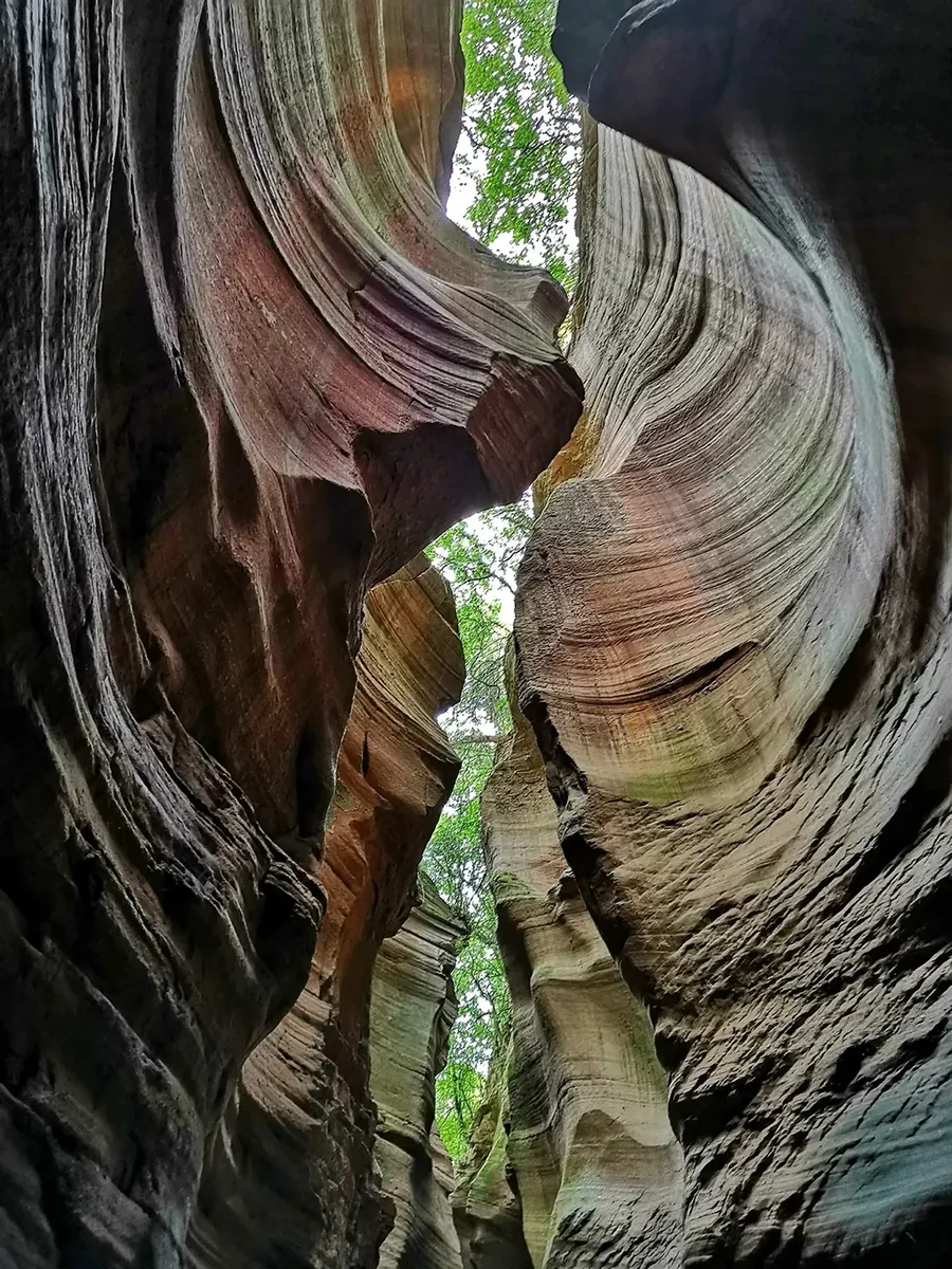 Rain Canyon
